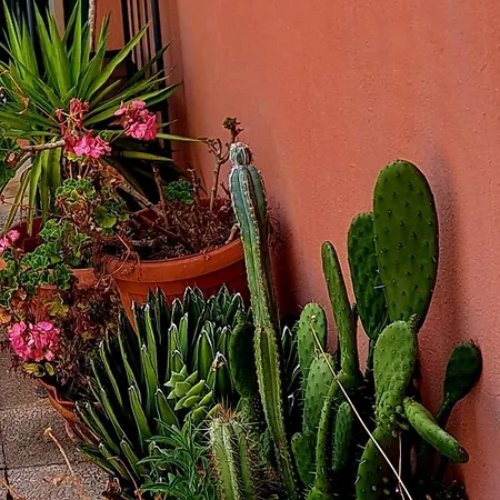 Appartement San Quirico *