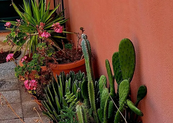 Apartment San Quirico *